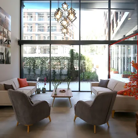 Coordinat Suits * Izmir