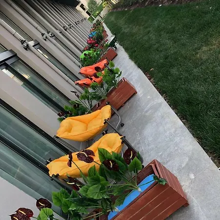 Coordinat Suits アパート *